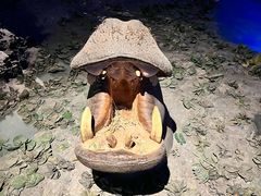 -大连自然博物馆
