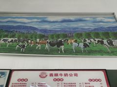 -义顺牛奶公司(新马路老店)