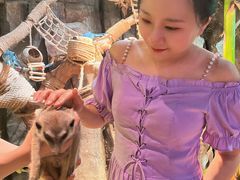 -正佳雨林生态植物园