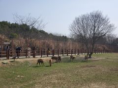 -良渚文化村