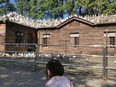 -潮府馆·非遗潮州菜·世纪公园(新国际博览中心店)