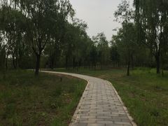 -永定河休闲森林公园