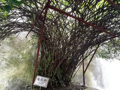-乌镇东栅景区