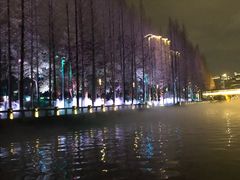 -运河游船(武林门码头)