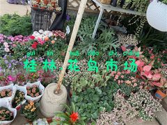 -桂林市花鸟市场