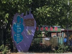 -北京麋鹿生态实验中心