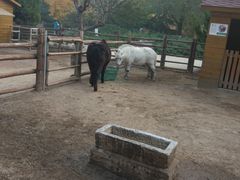 -北京市海淀外国语实验学校