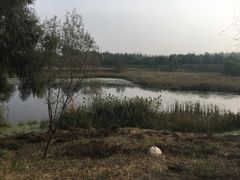 -东郊湿地公园