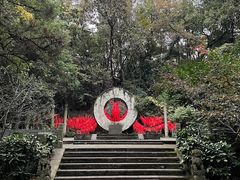 -杭州黄龙洞