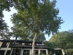 -杭州西湖柳莺里酒店·闻莺厅