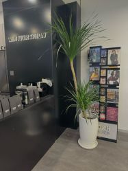-WM Hair Salon