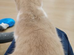 -1013 PET SHOP 宠物商店(近铁城市广场店)