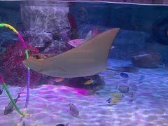 -沈阳海洋探索中心