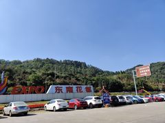 -东南花都花博园