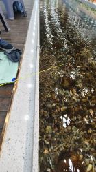 -钓虾工场·钓虾·赶海(回龙观店)