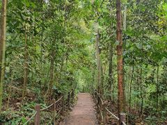 -武吉知马自然保护区