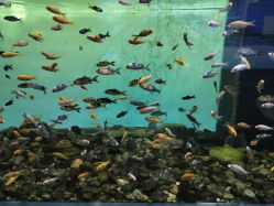 -Zoolung Zoolung动物主题公园(海信广场店)