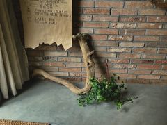 -春庄咖啡SpringHues(钟楼小区店)