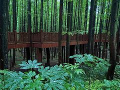 -山王坪喀斯特国家生态公园