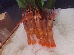 -Mr.Fish鱼鲜生海鲜放题(高德置地冬广场店)