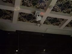 -觅KTV(岳峰大厦店)