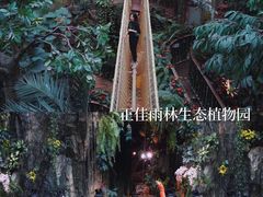 -正佳雨林生态植物园