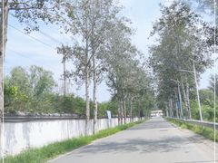 -杨柳青庄园