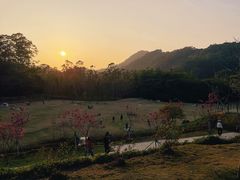 -黄埔油麻山森林公园