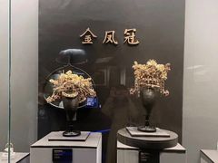 -贵州省博物馆(新馆)