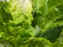 -阳光码头海鲜火锅(世纪大道店)