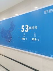 -雍禾植发