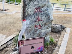 -莲湖公园