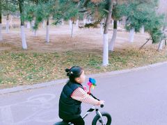 -长白岛森林公园