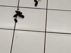 -世纪联华超市(浦电路店)