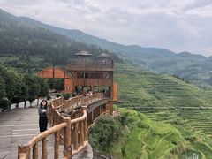 -紫鹊界梯田景区