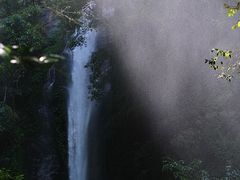 -莫里热带雨林景区