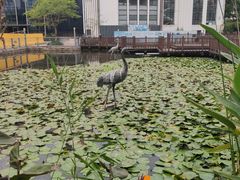 -苏州河梦清园环保主题公园