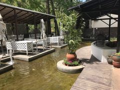 -Local泰莲庭(虹鳟鱼店)