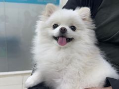 -美联众合动物医院·24h京西诊疗中心