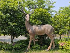 -溱湖国家湿地公园