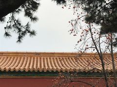 -故宫博物院(故宫)
