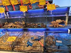 -必点海鲜·鲅鱼水饺(鞍山西道店)