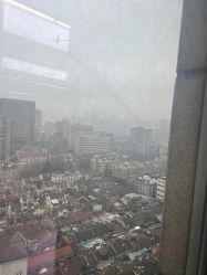 点击看大图 -藤野造型烫发染发