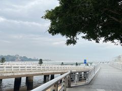 -演武大桥观景平台