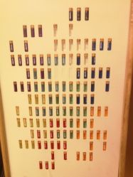 -彩虹之门健康管理