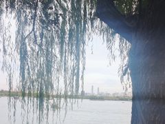 -济南大明湖景区