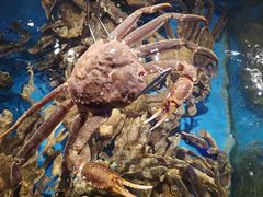 -蟹之国·精品蟹料理(极地店)