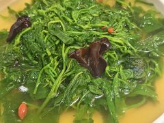 -山泉公馆酒家(珠江新城店)