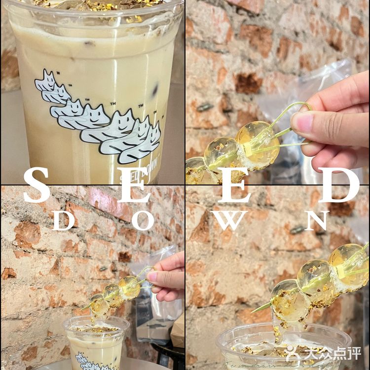东山新晋打卡适档coffee SEED DOWN