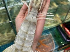 -川湘蓝天海鲜